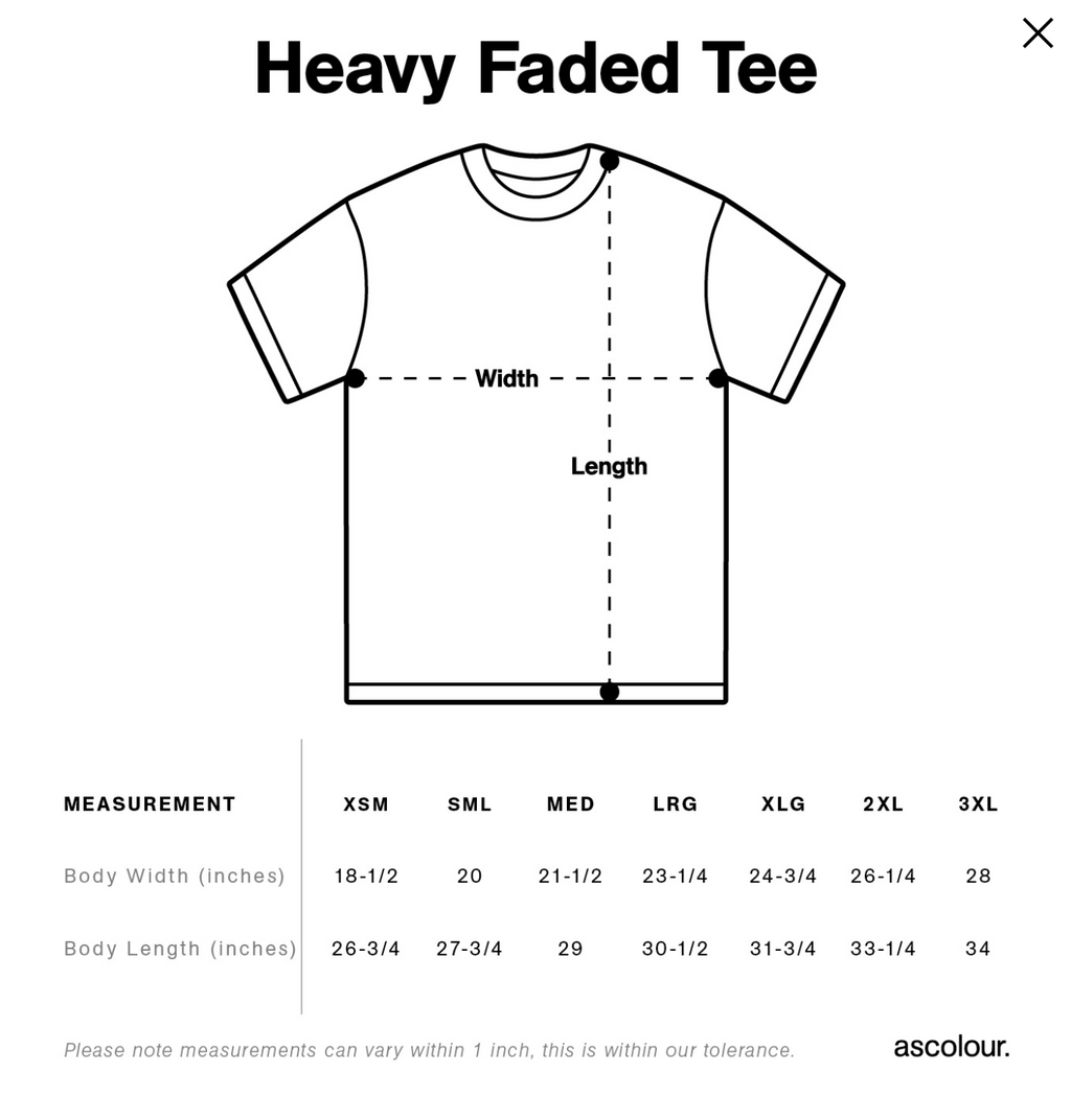 UNDIAGNOSED BUT SOMETHING AIN'T RIGHT Oversized faded t-shirt (AS COLOUR)